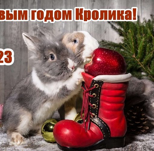 с новым годом 2023