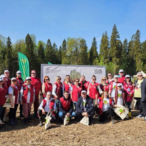 Нотариусы Подмосковья по традиции приняли участие в акции «Лес Победы»