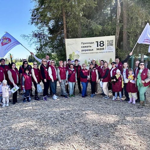 Нотариусы Подмосковья приняли участие в ежегодной акции «Лес Победы»