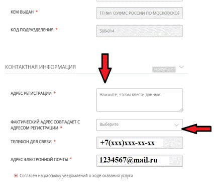 Заполните отмеченные звездочками графы, если они не заполнены автоматически. Если заполнены автоматически - проверьте правильность заполнения:
