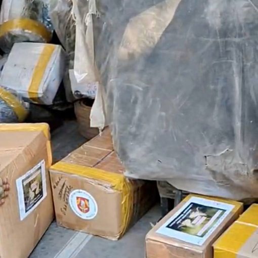 Поддержка участников СВО