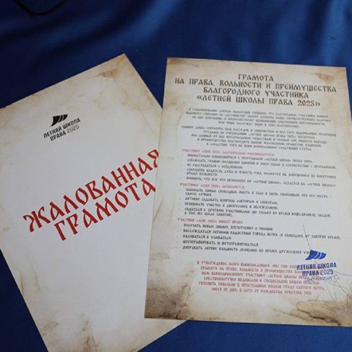 Второй день программы Летней школы права прошел в Санкт-Петербурге