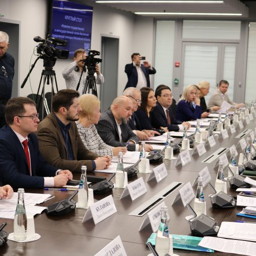 Президент МоНП приняла участие в заседании круглого стола в Мособлдуме